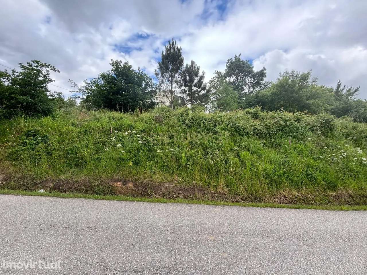 Propriedade com viabilidade construtiva - Soure - Grande imagem: 5/11