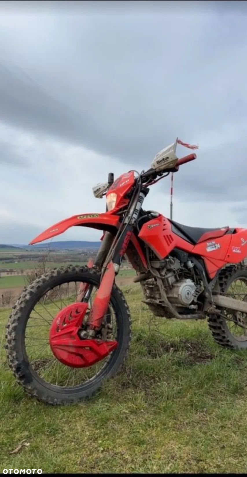 Beta RR
