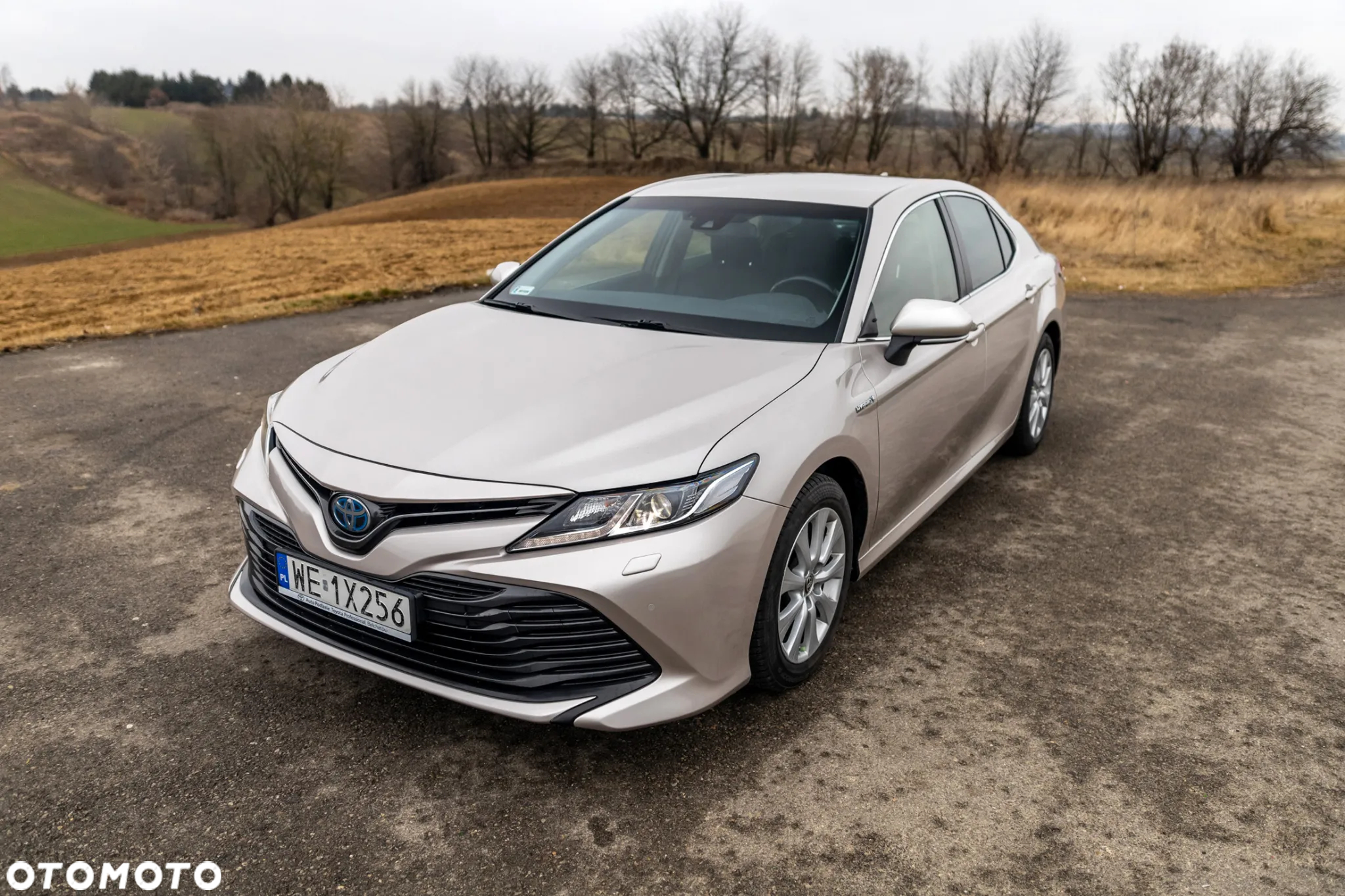 Toyota Camry 2.5 Hybrid Comfort CVT - 24