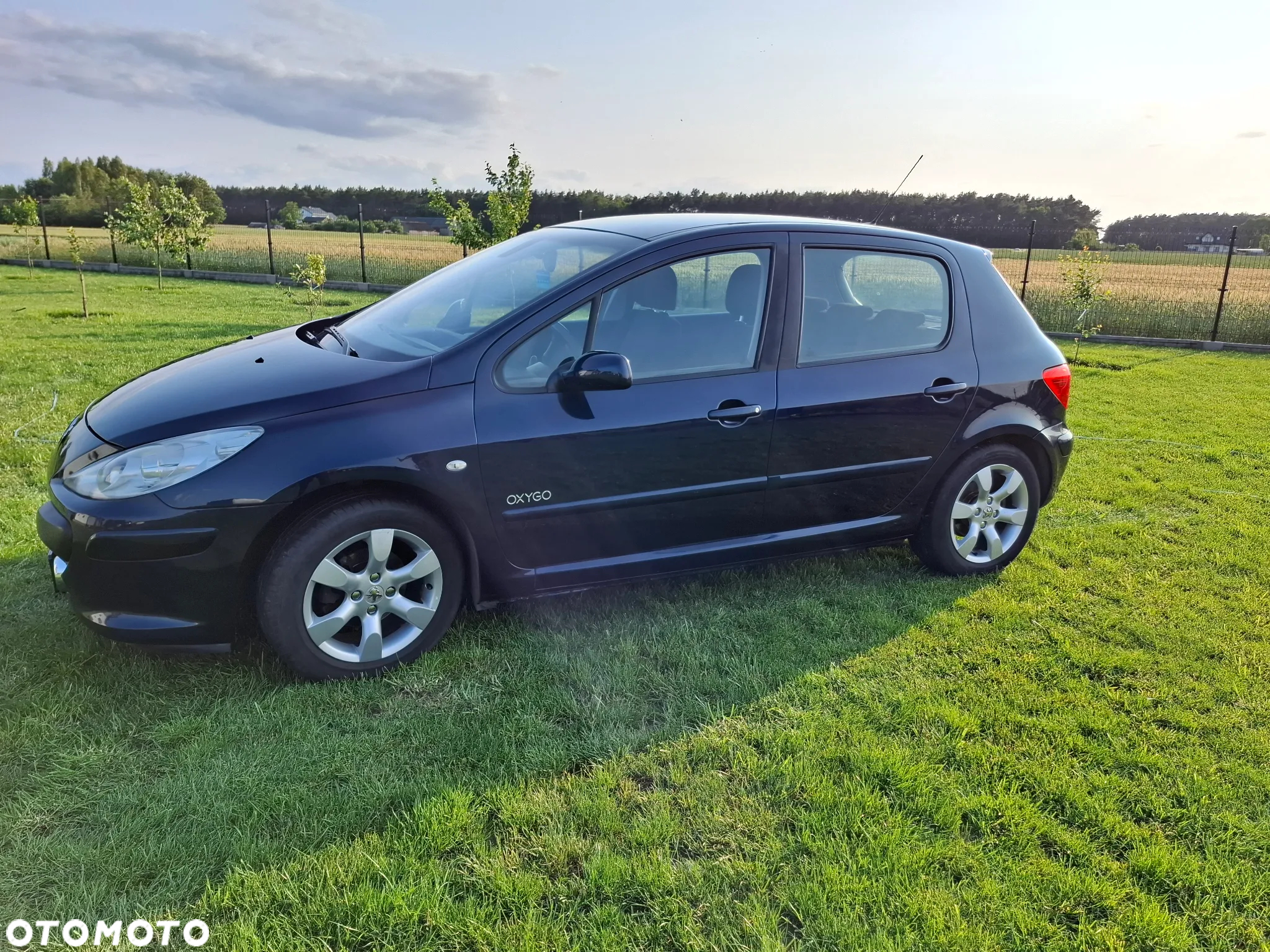 Peugeot 307 1.6 Oxygo - 4