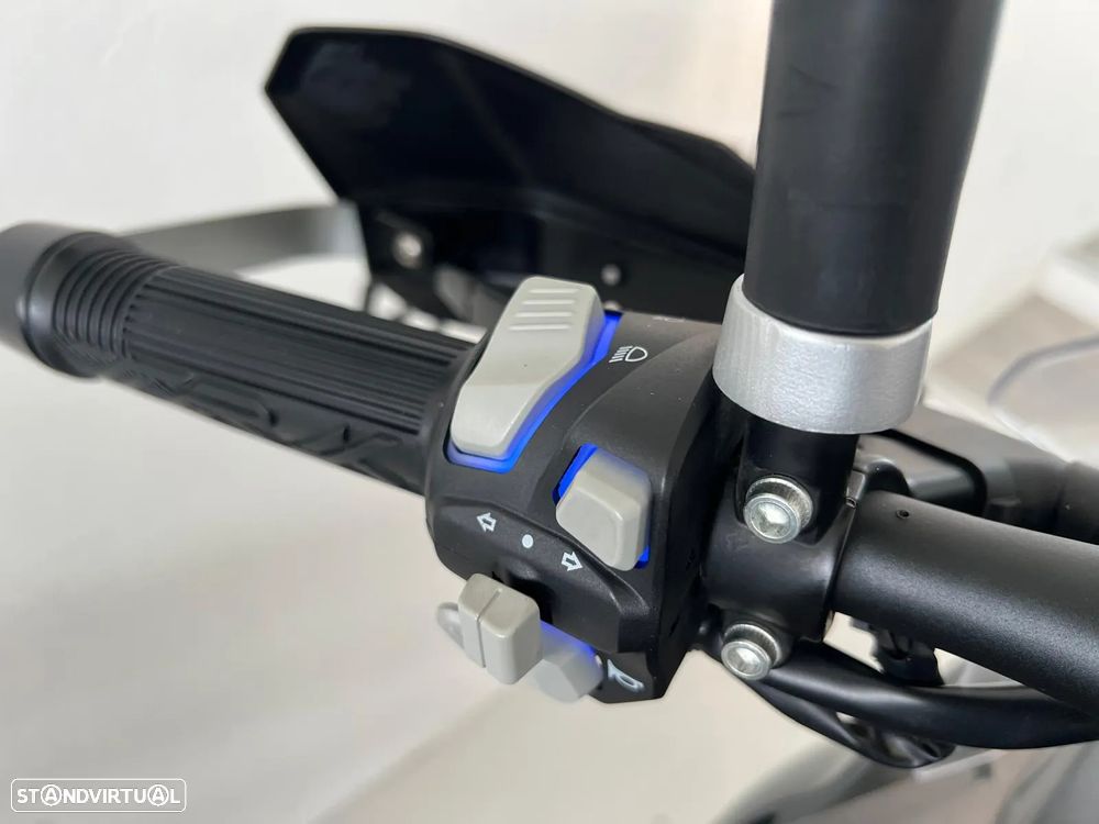 Benelli TRK 502 - 11