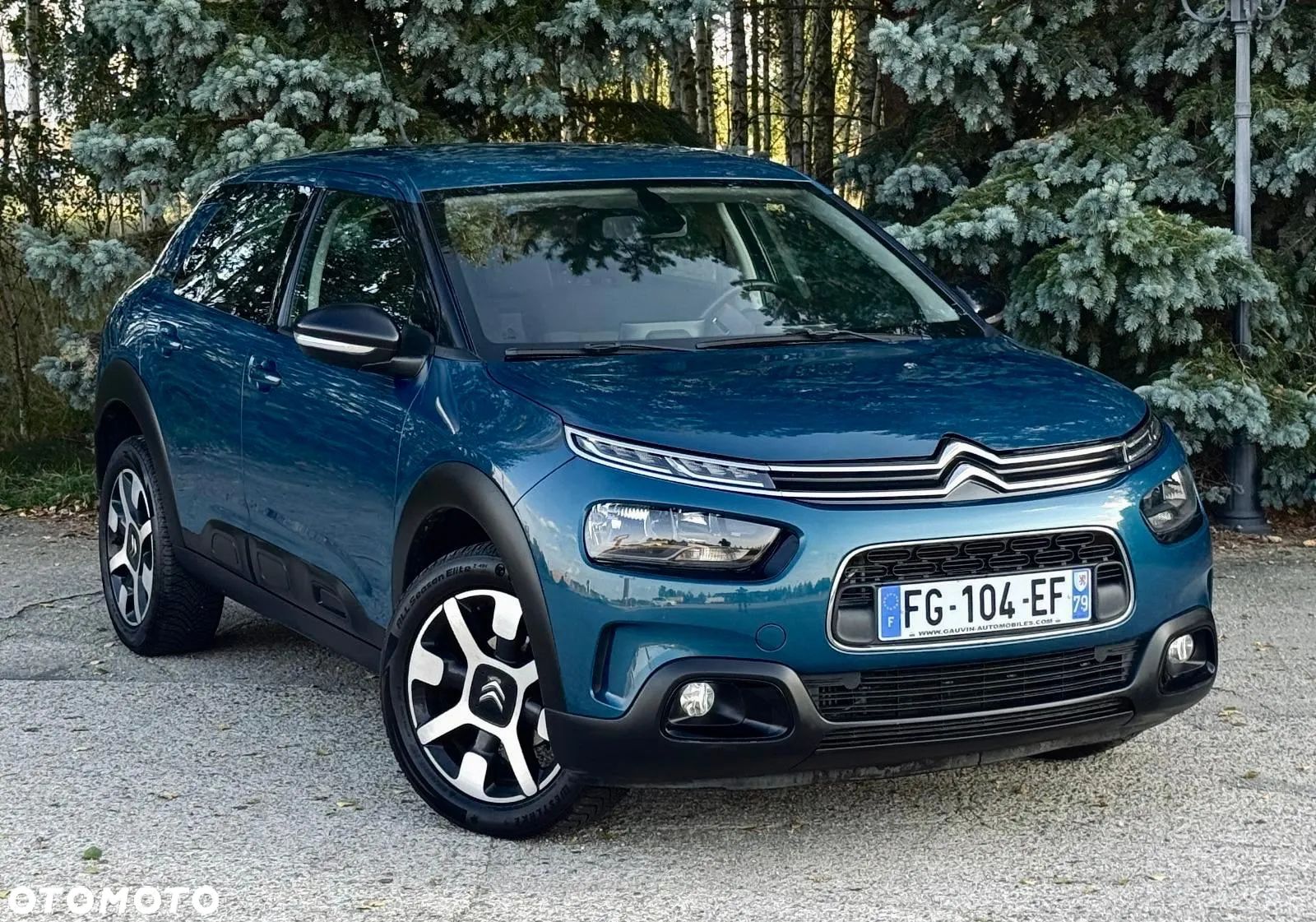 Citroën C4 Cactus - 1