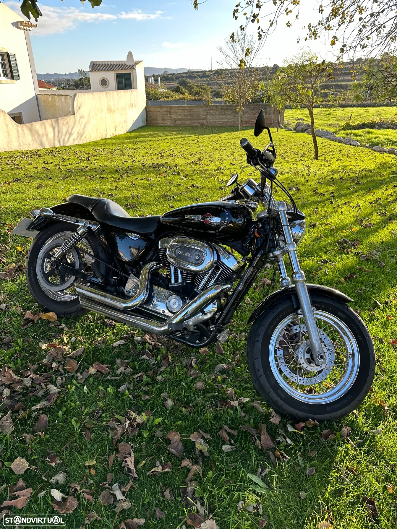 Harley-Davidson XL 1200C CUSTOM - 16