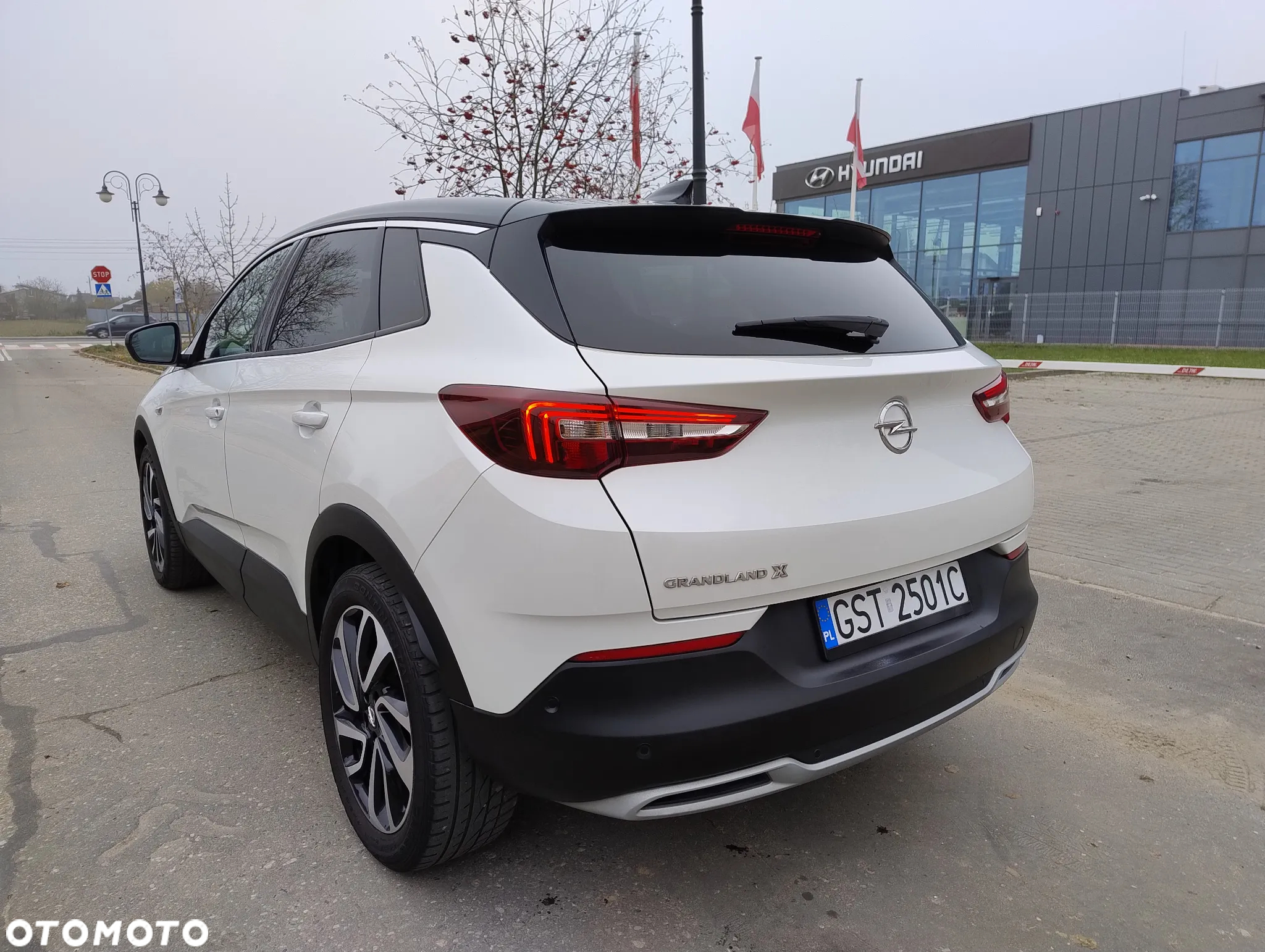Opel Grandland X 1.6 CDTI Ultimate S&S - 5