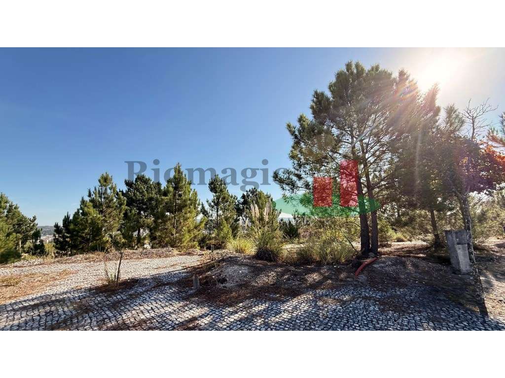 Lote Urbano Fonte Lagoa***RIOMAGIC*** - Grande imagem: 5/14