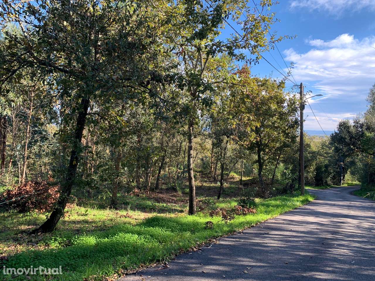 Terreno rústico com 1350m2, passível de construção - urbanização, nest - Grande imagem: 2/14