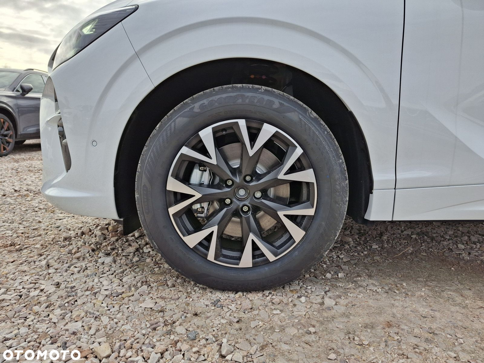 Cupra Terramar - 6