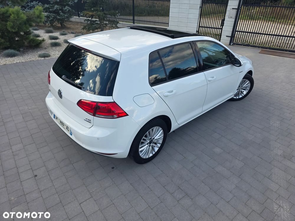 Volkswagen Golf - 16