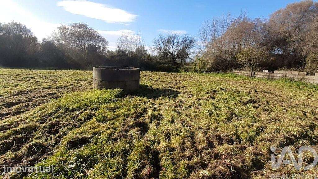 Terreno Agrícola em Três Povos - Grande imagem: 3/20