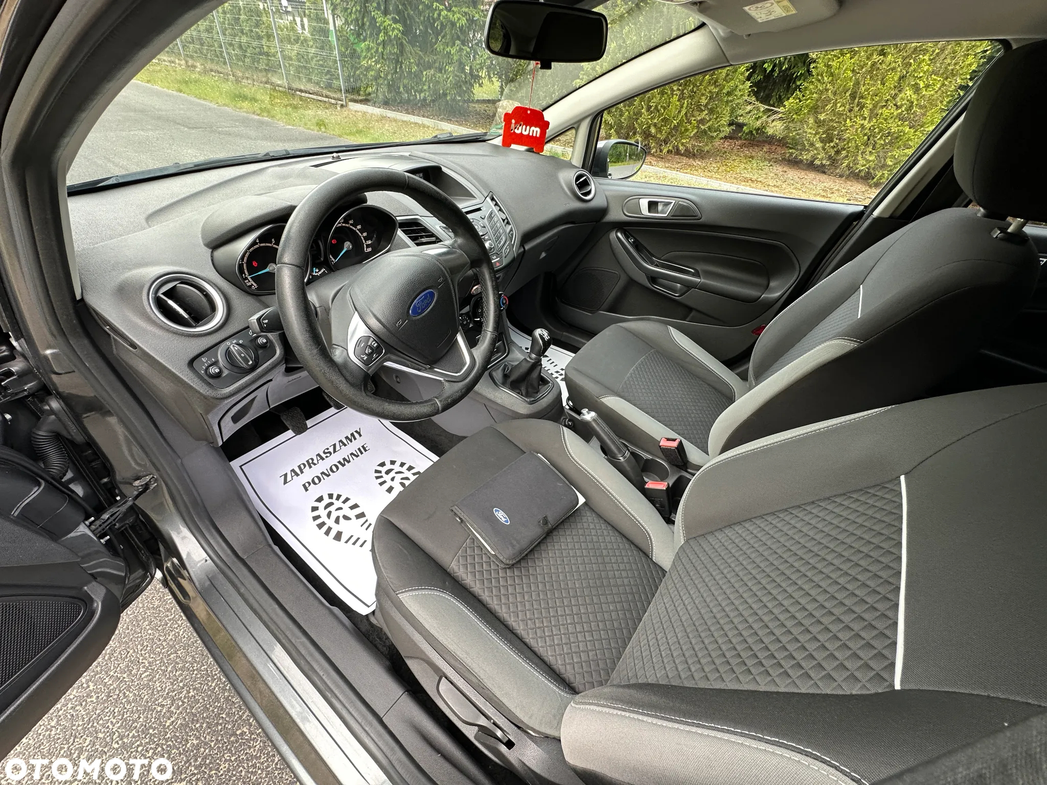Ford Fiesta - 18