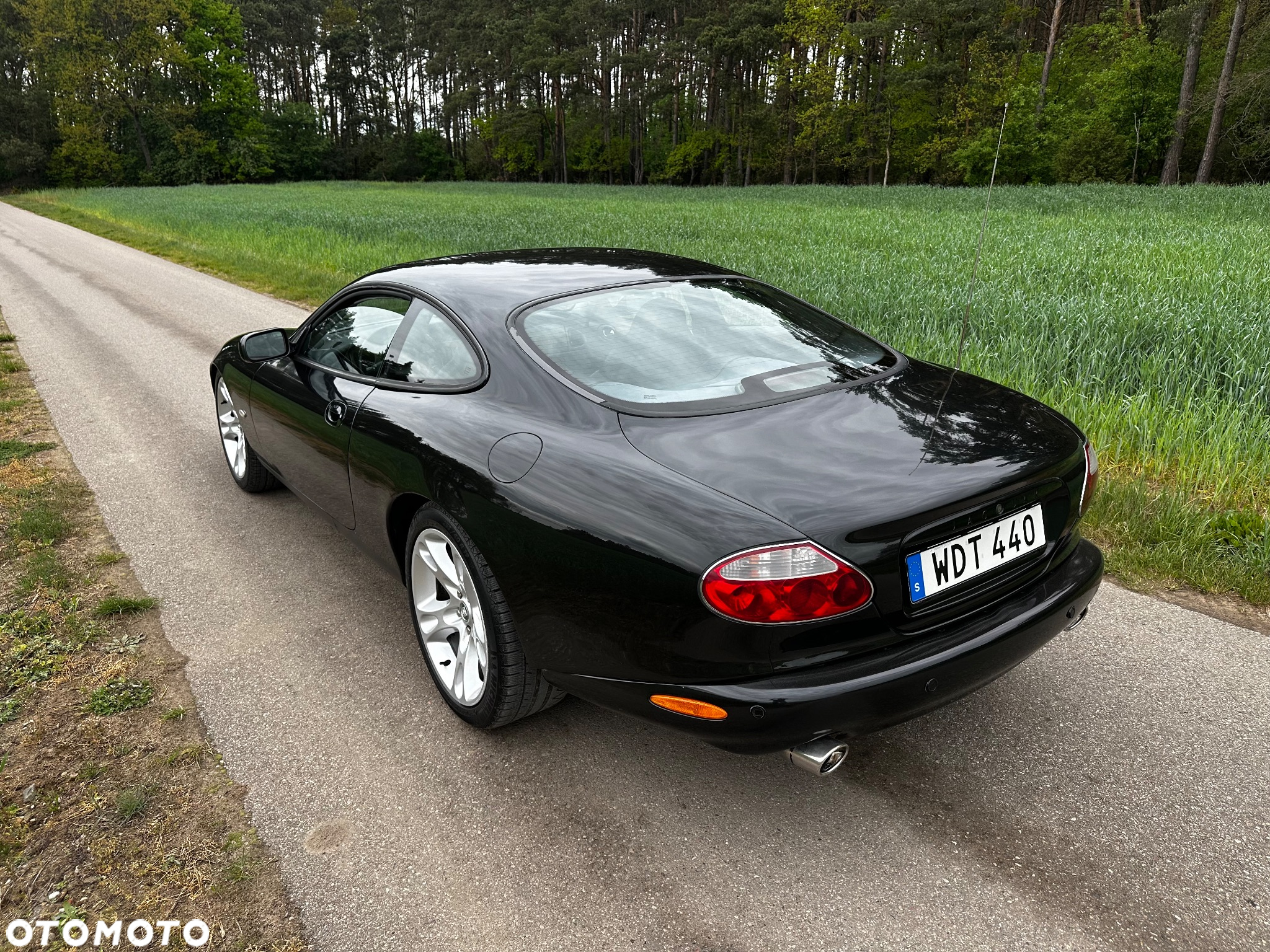Jaguar XK8 4.2 - 16