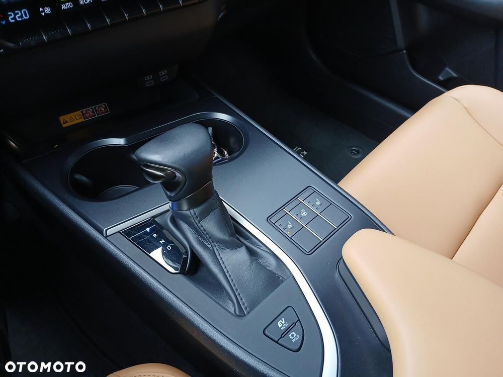 Lexus UX 250h GPF F Sport Design 2WD - 19
