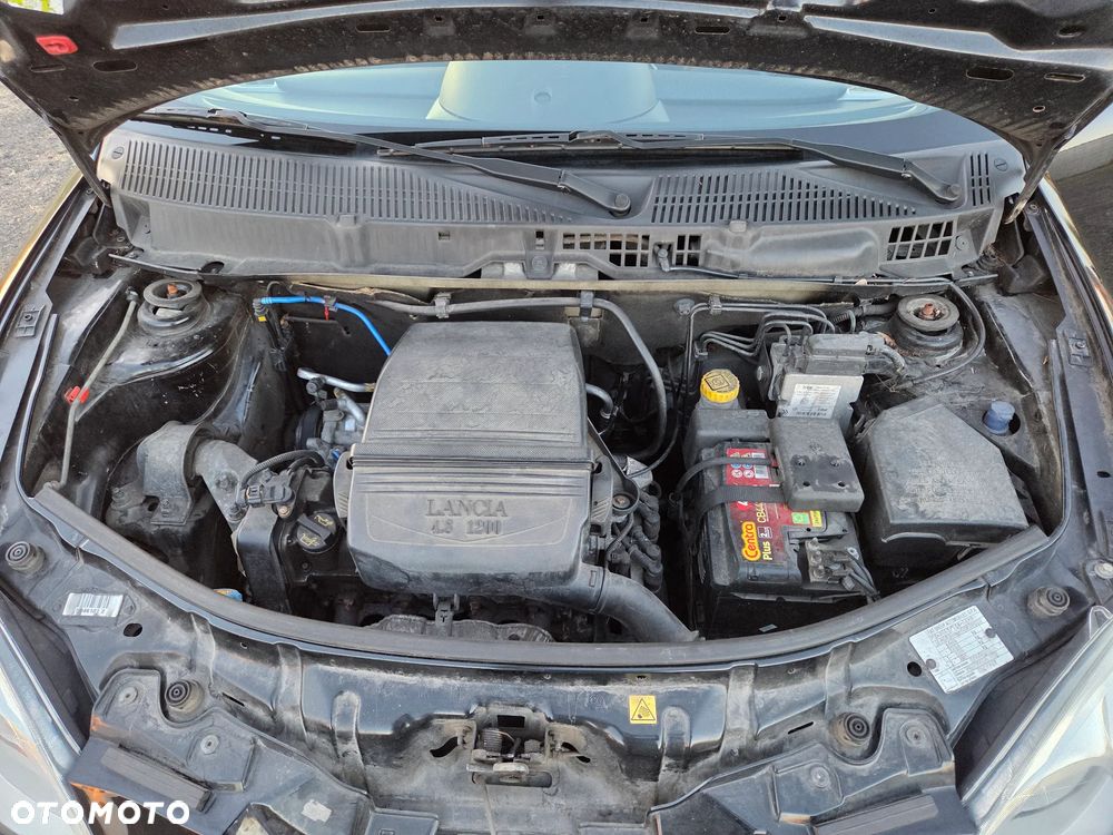 Lancia Ypsilon Y 1.2 8v Oro - 11