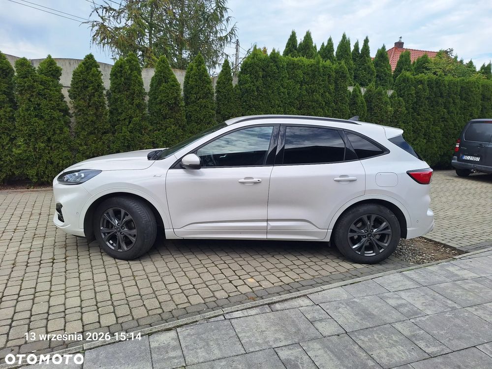 Ford Kuga 2.0 EcoBlue AWD ST-Line - 7