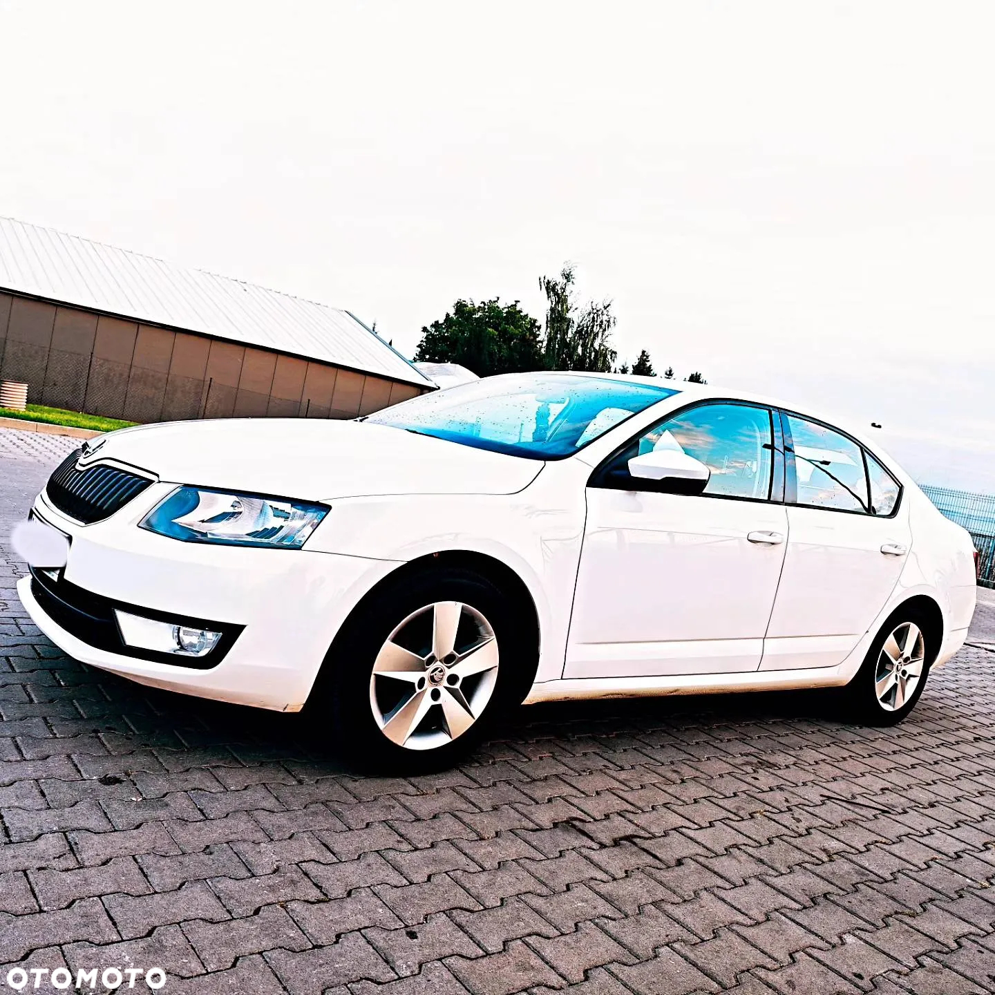 Skoda Octavia 1.6 TDI Ambition - 7