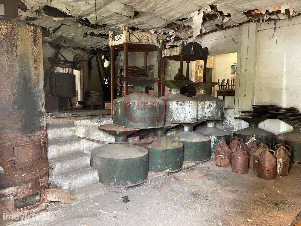 Antigo lagar de azeite! - Grande imagem: 3/9