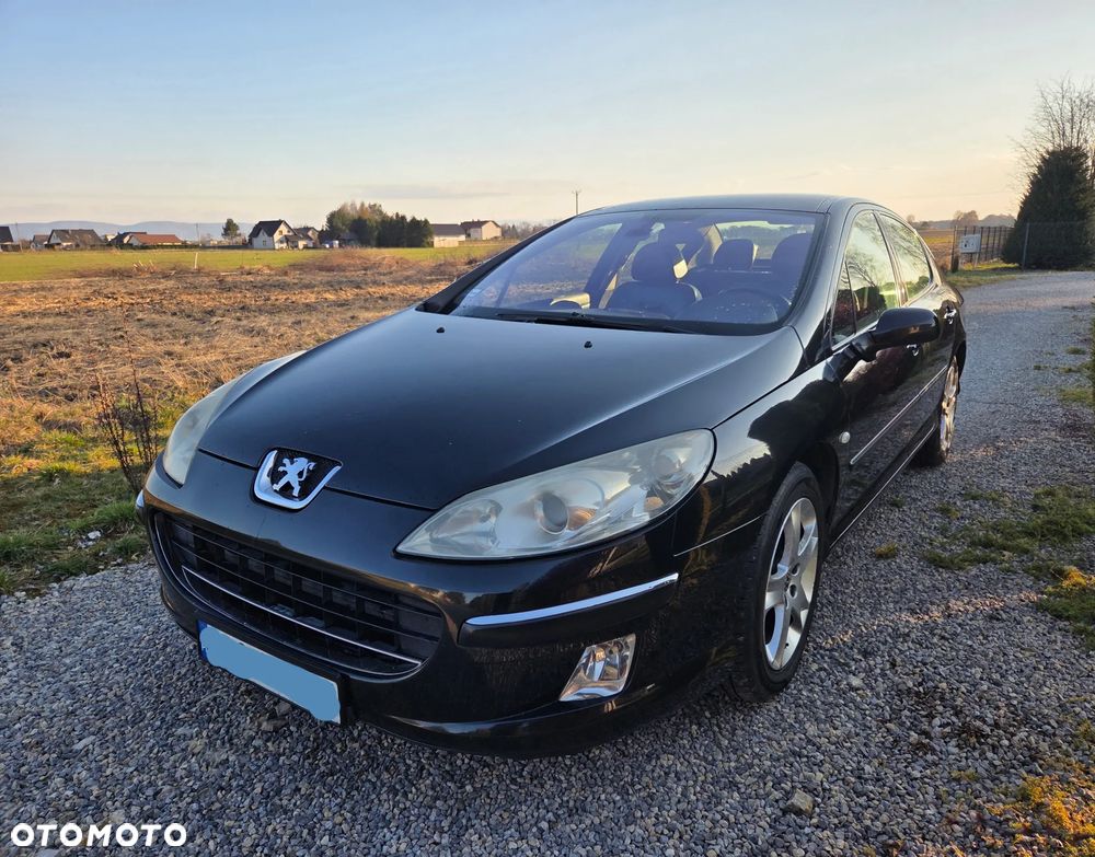 Peugeot 407 2.0 HDI ST Sport EU3 - 1