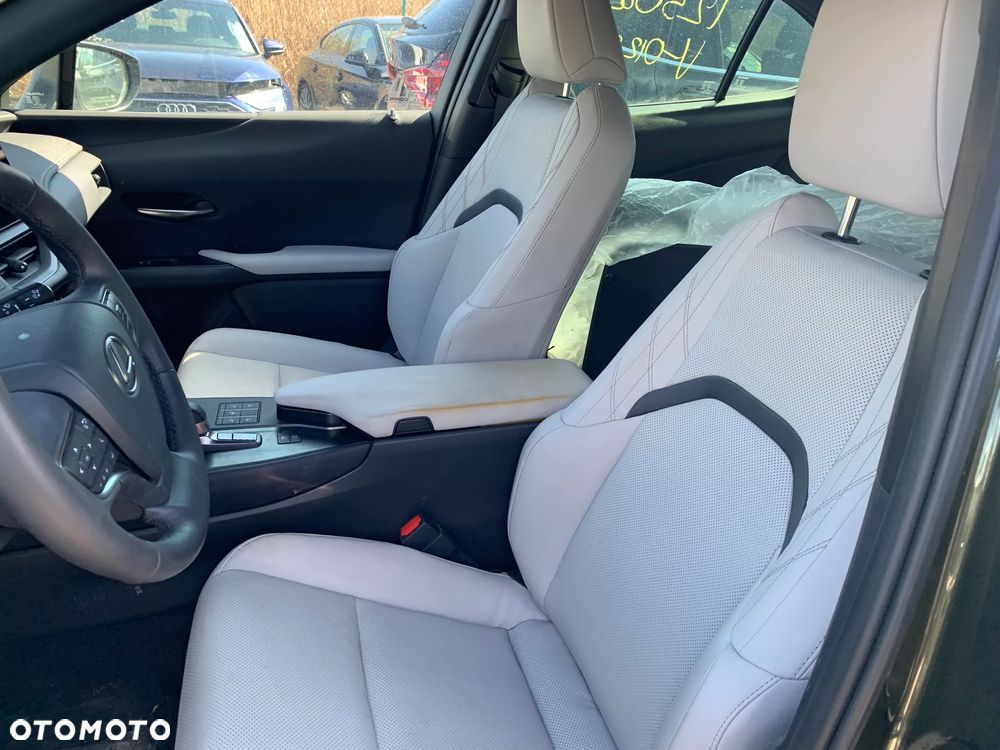 Lexus UX 300h F Sport AWD - 12