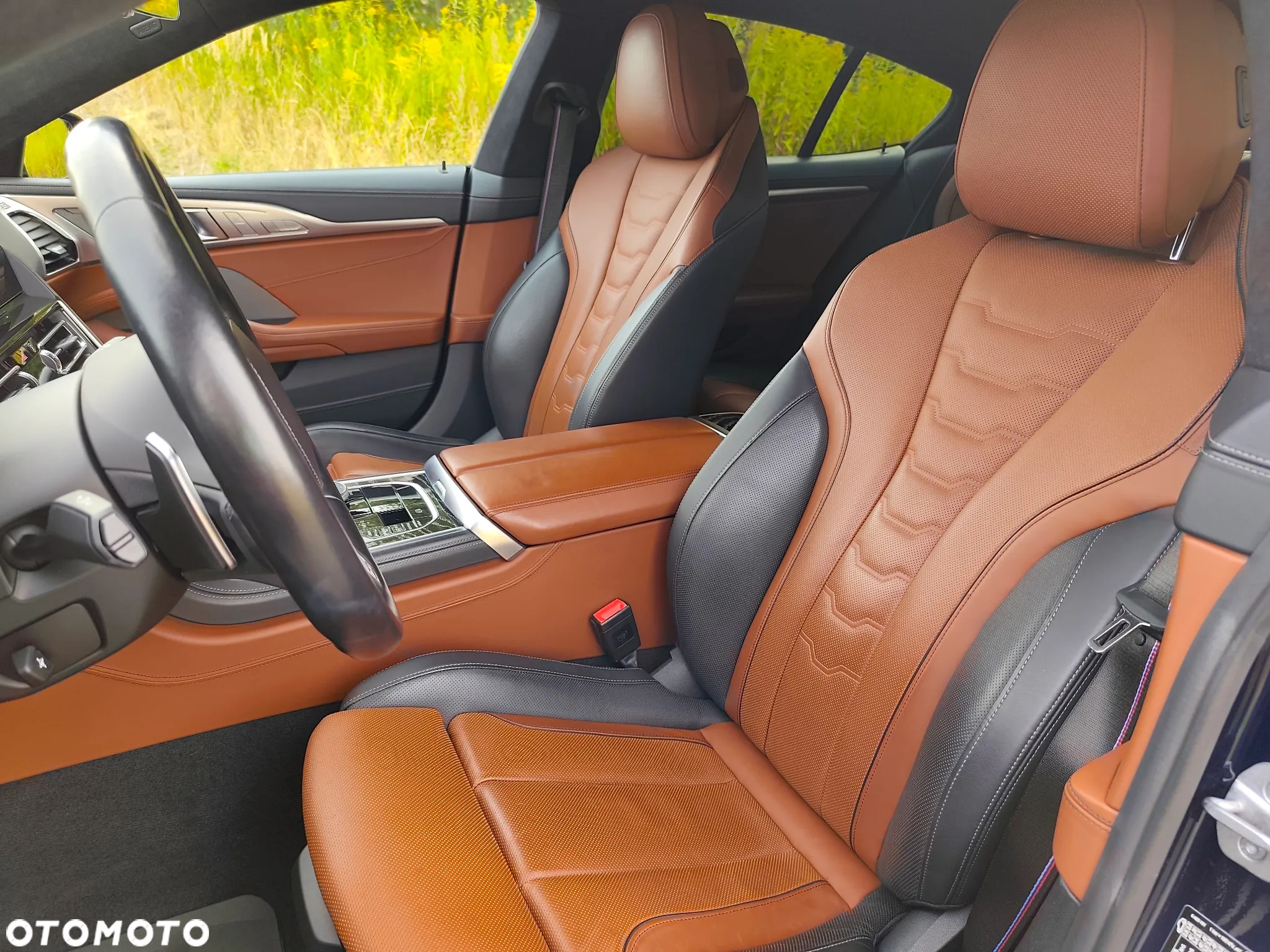 BMW Seria 8 - 18