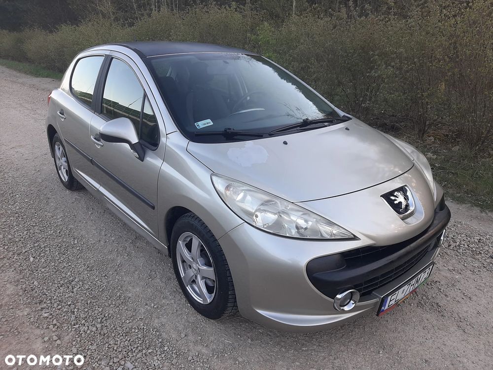 Peugeot 207 - 5