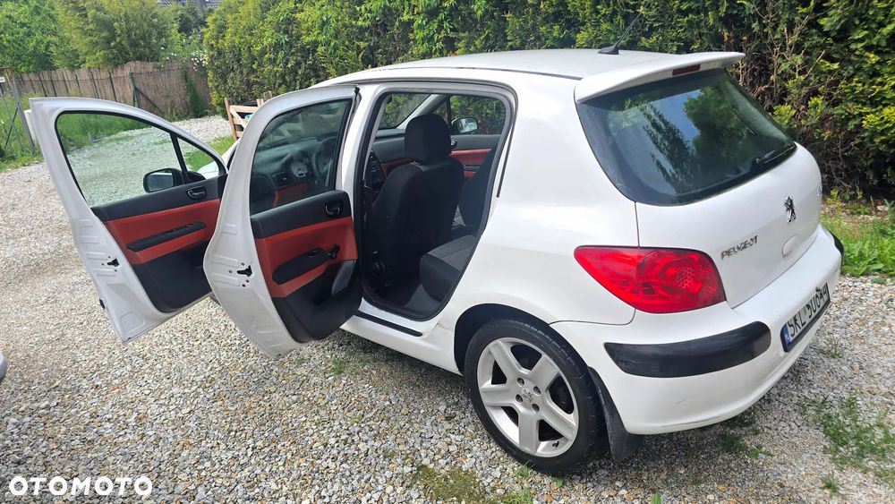 Peugeot 307 1.6 Sporty - 22