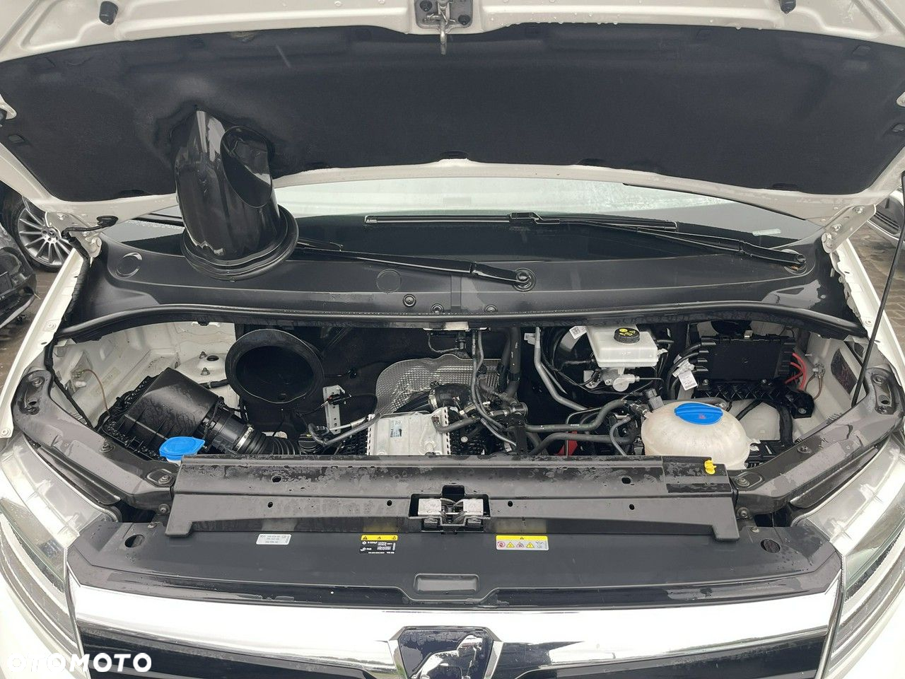 MAN TGE - 11