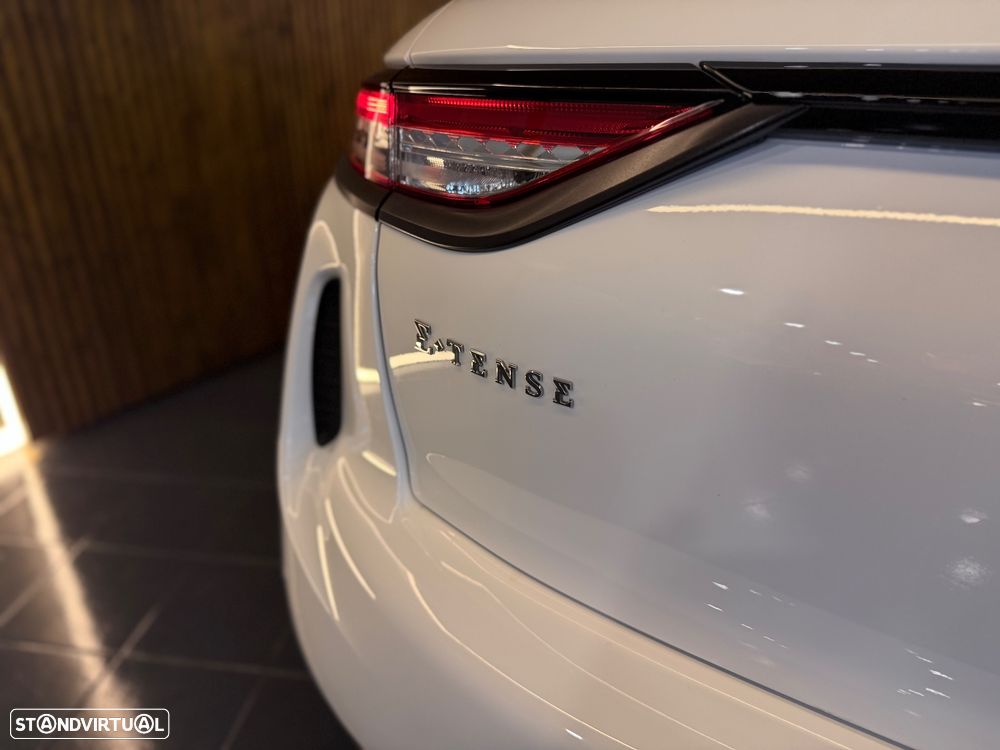 DS DS3 E-TENSE PERFORMANCE LINE + - 30