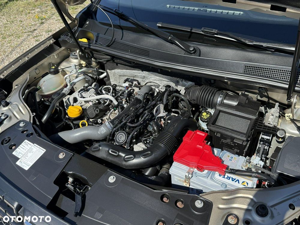 Ford Focus - 8