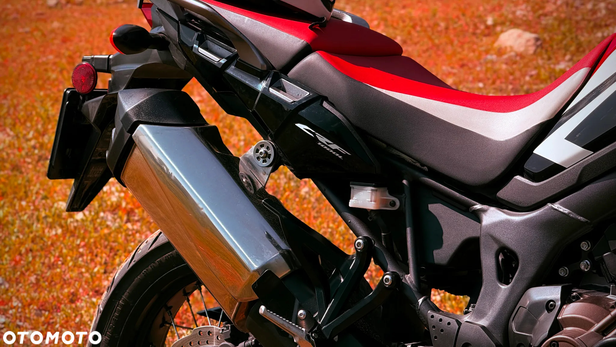 Honda CRF - 15