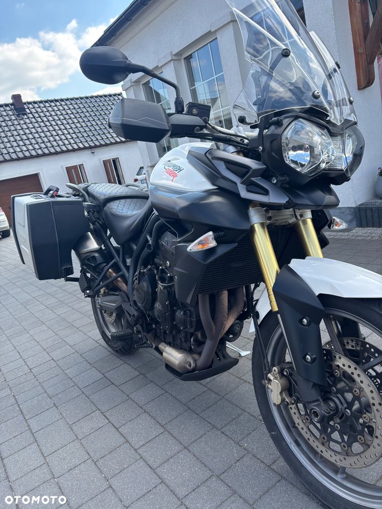 Triumph Tiger - 1