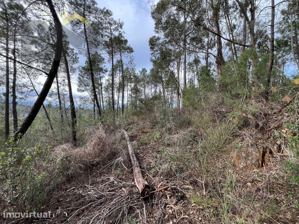 Terreno rústico com 4040m2 para venda no Freixial do Campo! - Grande imagem: 5/11