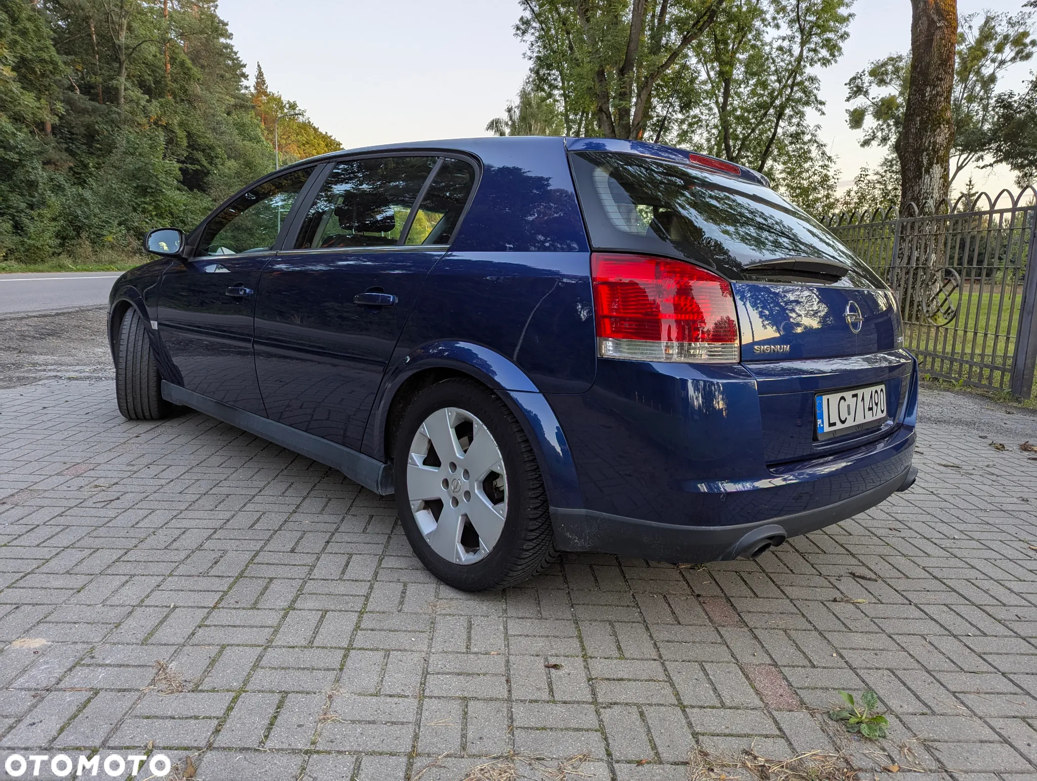 Opel Signum 2.0 Turbo Sport - 5