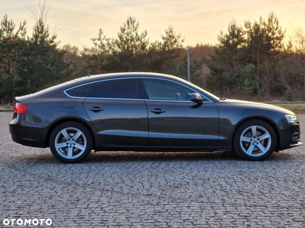Audi A5 Sportback 2.0 TDI (clean diesel) DPF multitronic - 17