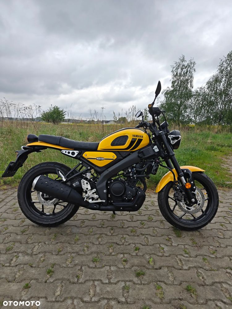 Yamaha XSR - 1