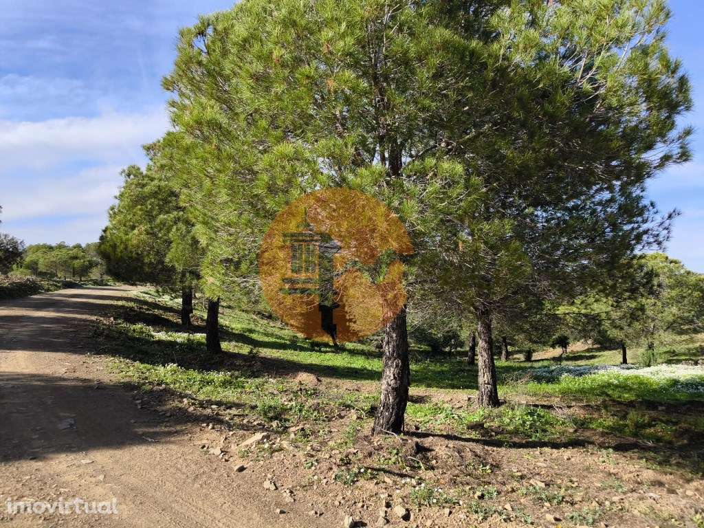 TERRENO COM 96.120 m² - COM POSSIBILIDADE DE CONSTRUÇÃO - VISTA LAG... - Grande imagem: 4/25