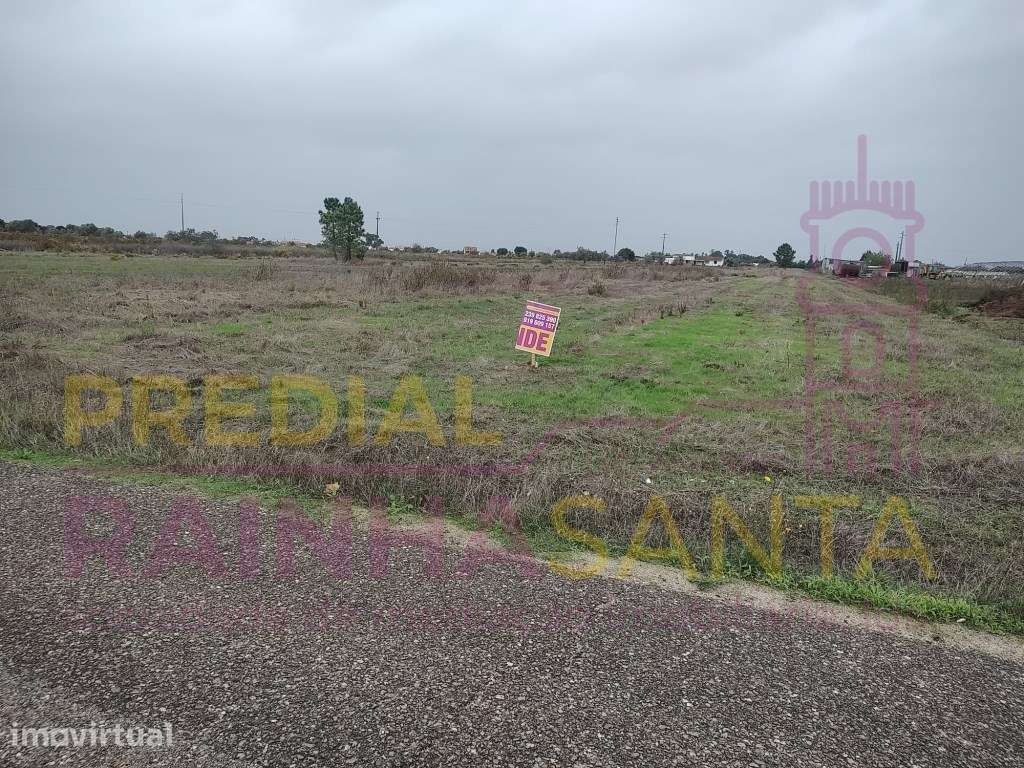 Terreno rustico-Alpiarça - Grande imagem: 5/7