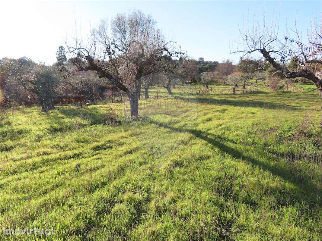 Quinta  para venda - Grande imagem: 2/35