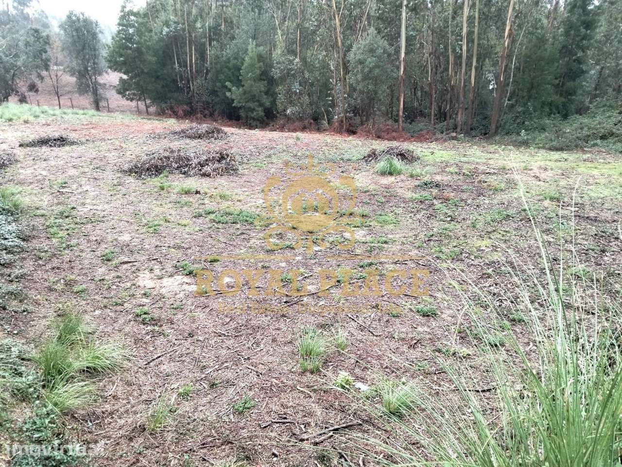 Terreno com 600m2 em Sanfins, Santa Maria da Feira - Grande imagem: 3/7