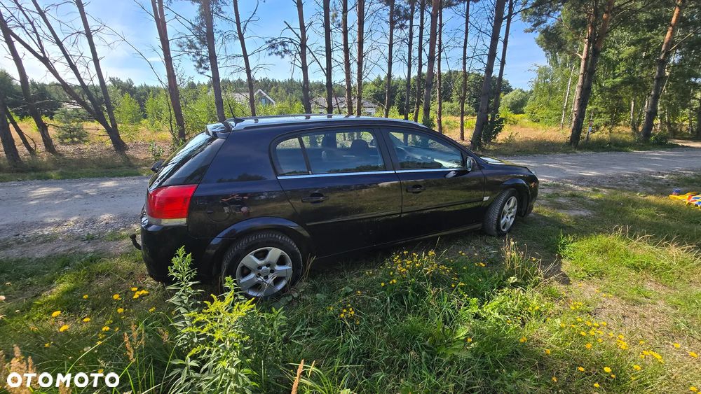 Opel Signum 1.9 CDTI Cosmo - 6