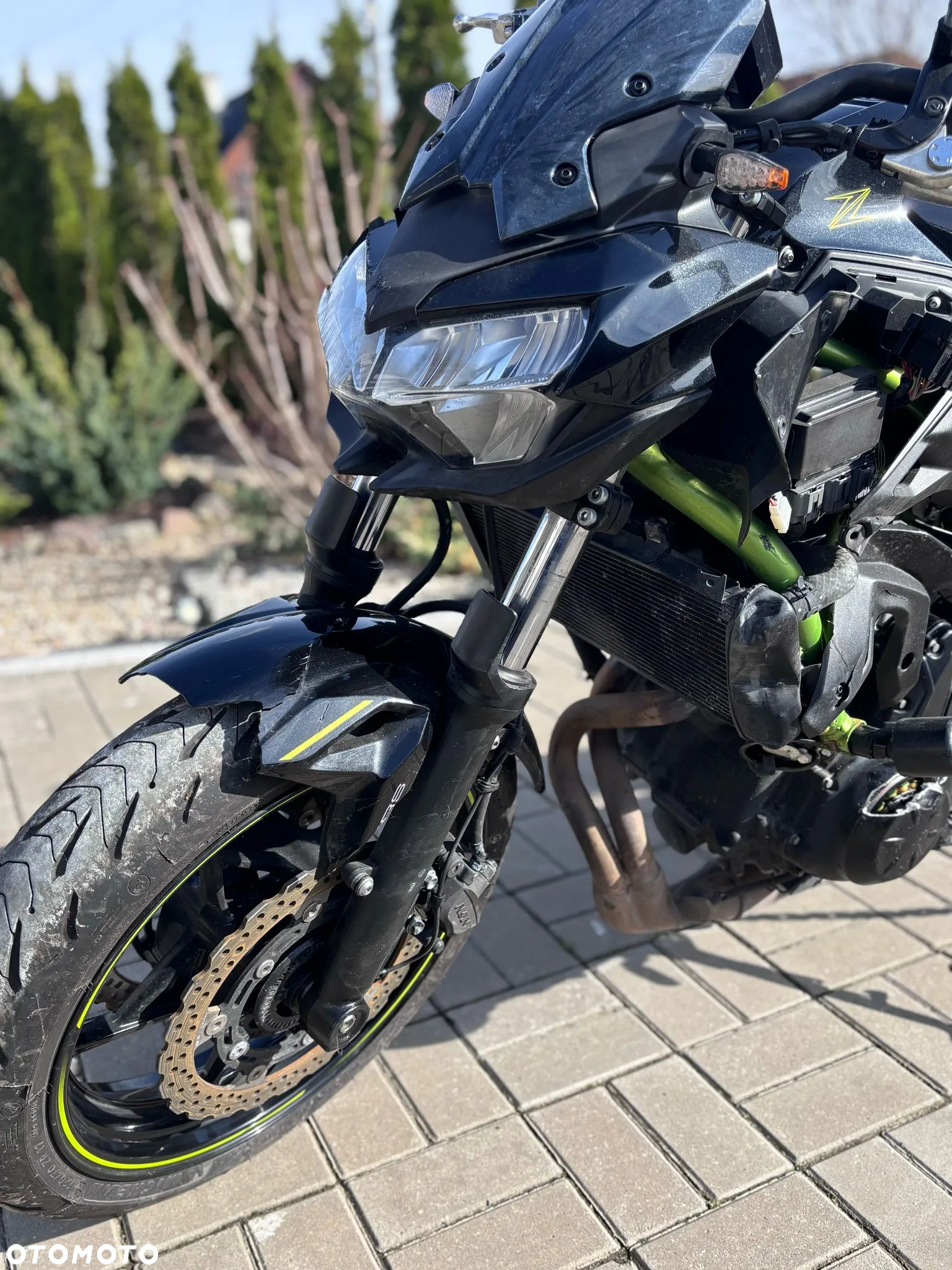 Kawasaki Z - 6