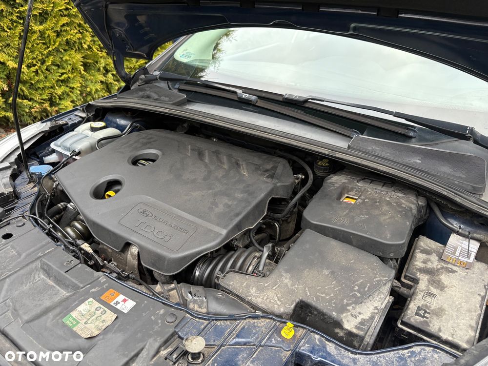 Ford Focus - 21