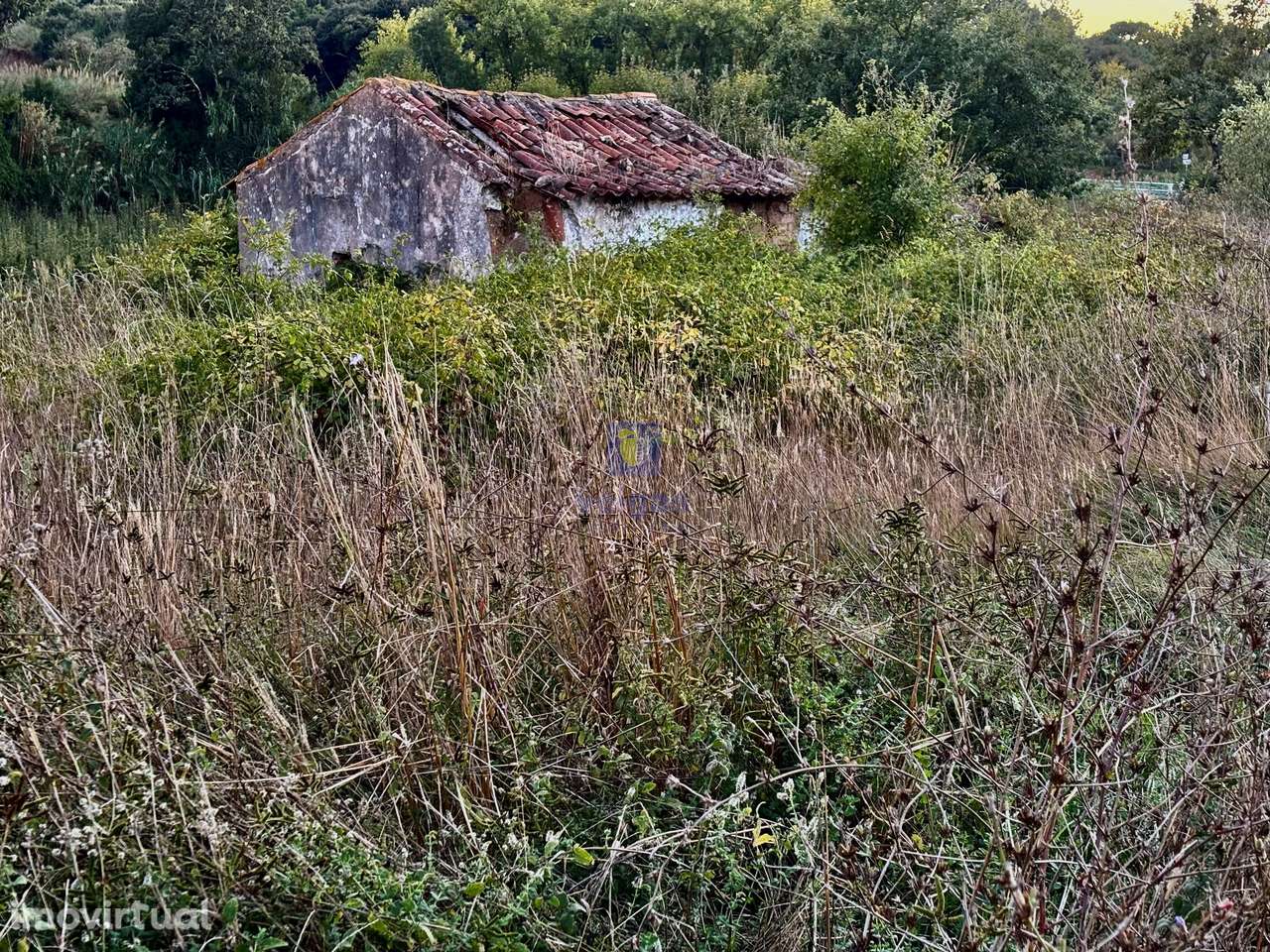 Moradia com Terreno — A dos Negros (Sancheira Grande), Óbidos - Grande imagem: 3/6