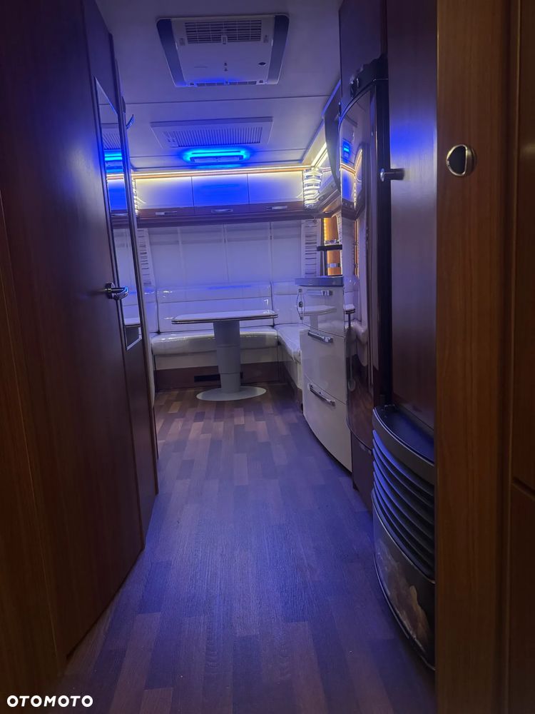 Tabbert Puccini - 11