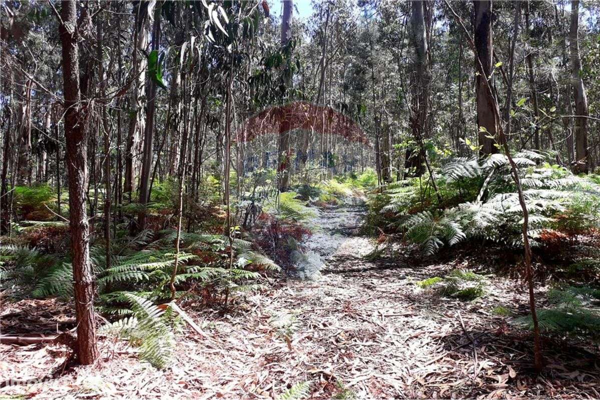 Terreno  para venda - Grande imagem: 4/5