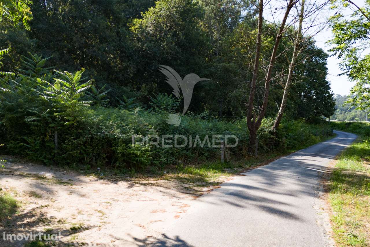 Terreno - Grande imagem: 3/11