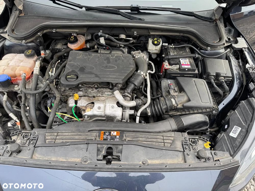 Ford Focus 1.5 EcoBlue Start-Stopp-System COOL&CONNECT DESIGN - 14
