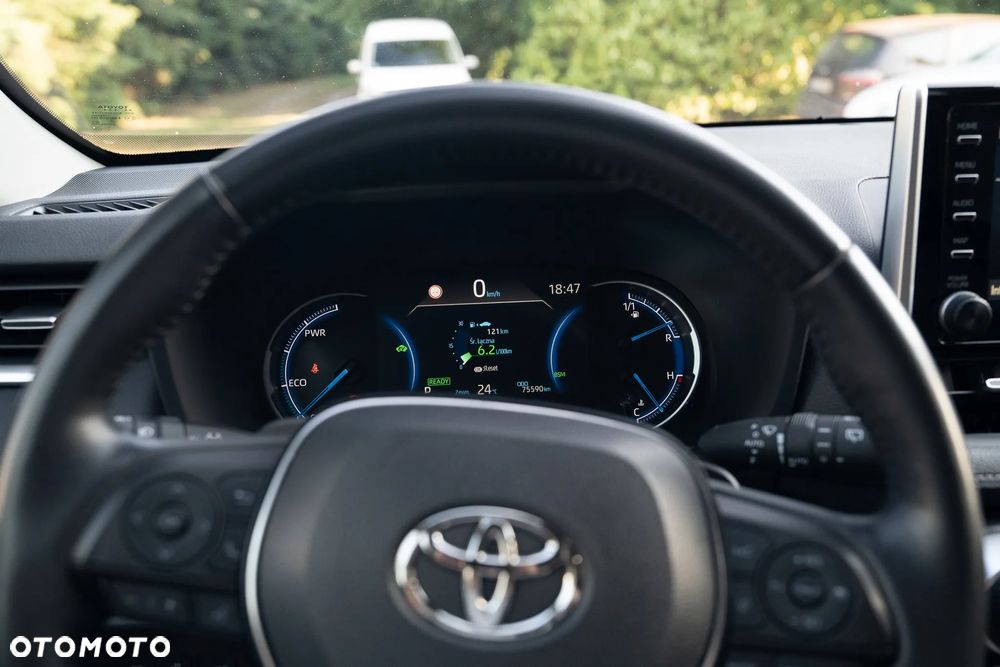 Toyota RAV4 2.5 Hybrid Executive 4x2 - 21