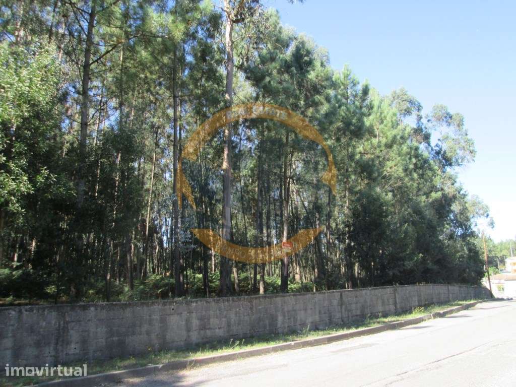 Terreno Venda São Vicente Pereira - Grande imagem: 4/9