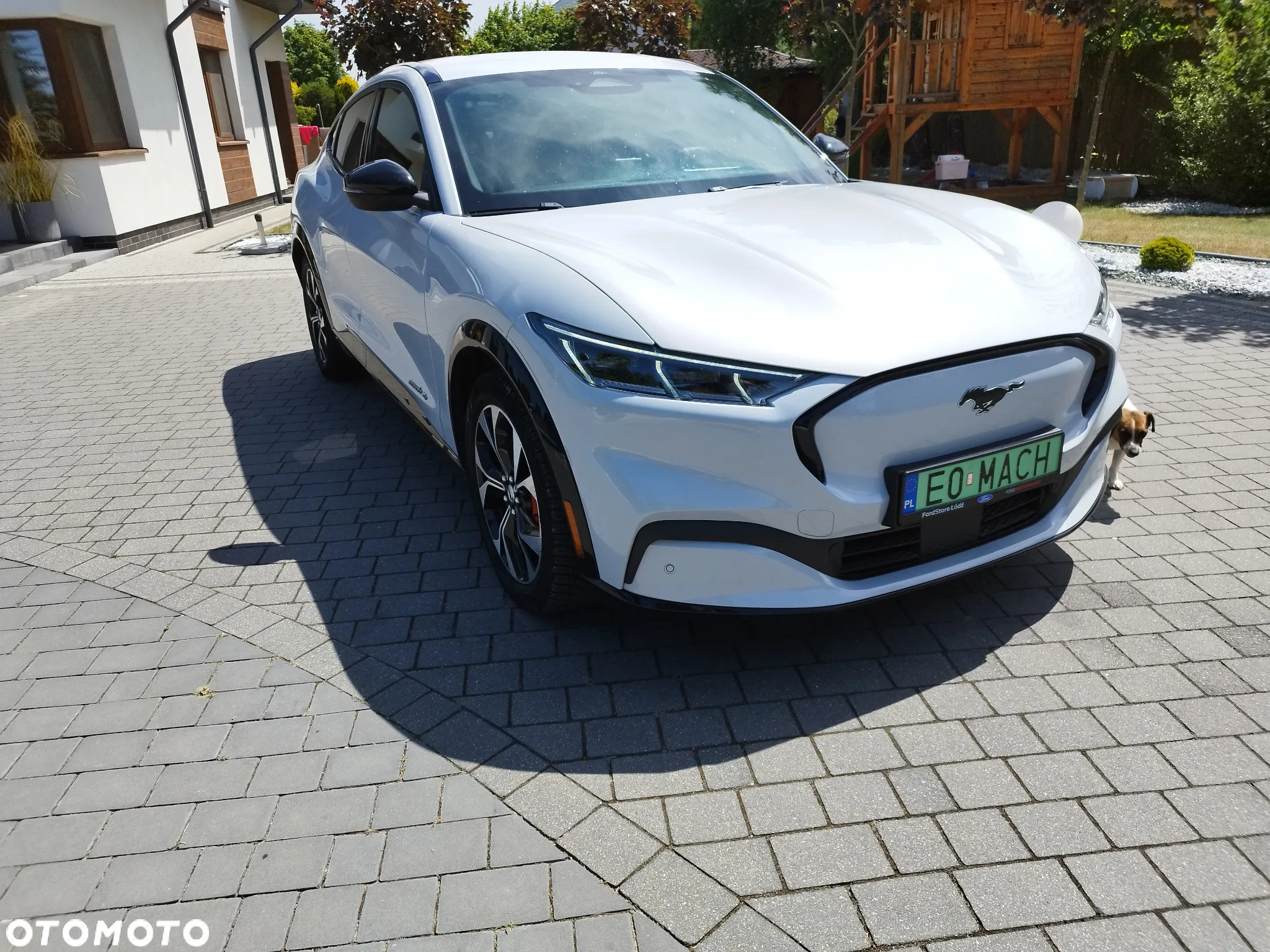 Ford Mustang Mach-E 91 kWh AWD Premium - 5