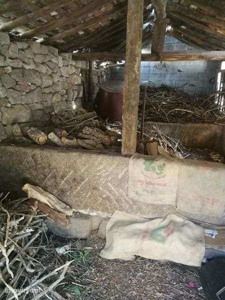 Lagar projecto Valpaços - Grande imagem: 2/7